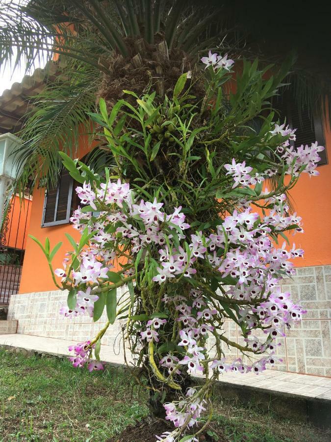 Casa - Cidade Das Cachoeiras Vila Santa Rita de Jacutinga Exterior foto